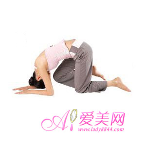  ֲ<a href=http://www.tjyoga.com/baodian/jianfei/ target=_blank class=infotextkey>٤</a> ֱ ϸ֫ 